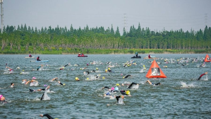 这就是一种, 目的专程来